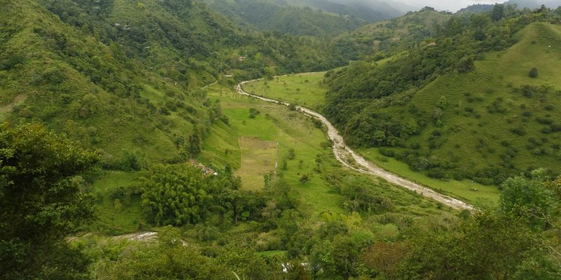 Salento: Colombias Coffee Region & the World’s Highest Palm Trees