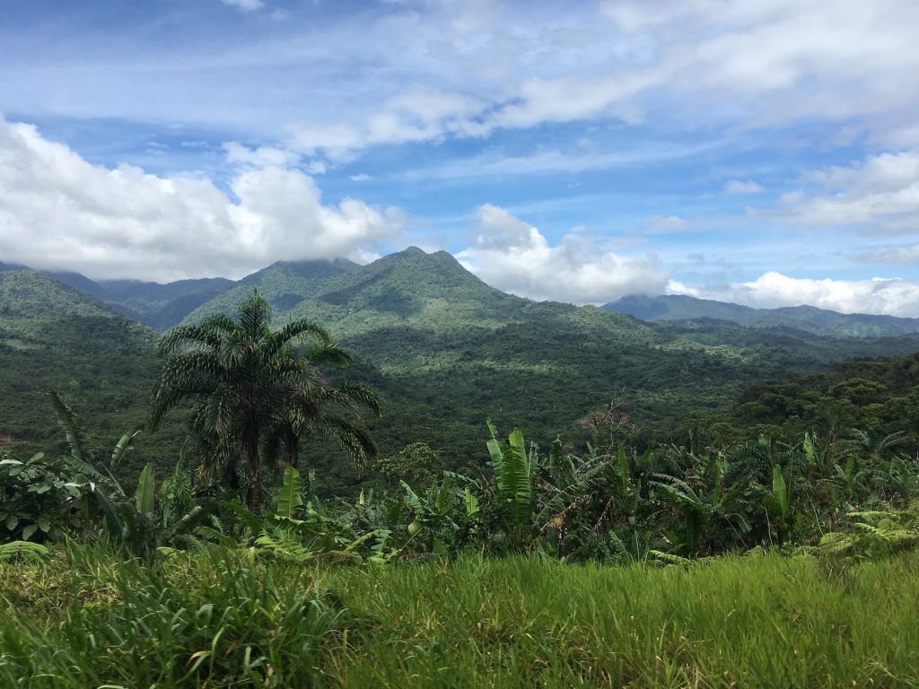 Panama Santa Fe